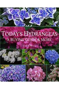 Today's Hydrangeas