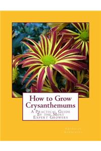 How to Grow Crysanthemums