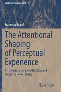 Attentional Shaping of Perceptual Experience