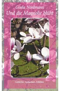 Und die Magnolie blüht