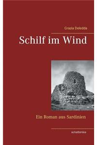 Schilf im Wind