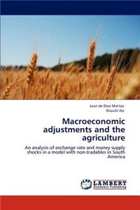 Macroeconomic Adjustments and the Agriculture
