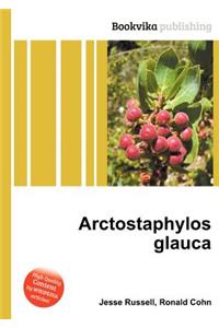 Arctostaphylos Glauca