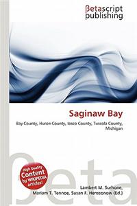 Saginaw Bay