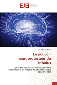 pouvoir neuroprotecteur du Tribulus