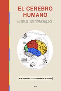 El cerebro humano: Libro de trabajo