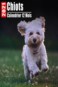 Calendrier 2021 Chiots
