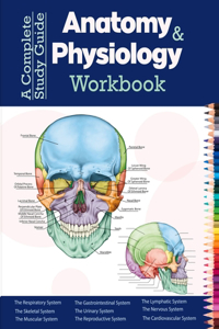 Complete Study Guide Anatomy And Physiology Workbook: Incredibly Detailed Self-Test Color workbook for Studying and Relaxation Perfect Gift for Medical School Students, Nurses, Doctors and Adults