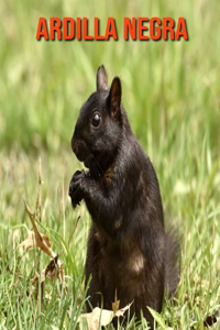 Ardilla negra
