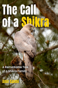 Call of a Shikra