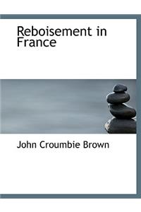 Reboisement in France