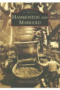 Hammonton and Marigold