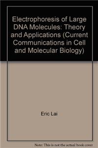 Electrophoresis of Large DNA Molecules