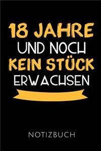 18 Jahre Notizbuch