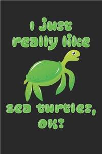 I Just Really Like Sea Turtles, OK?