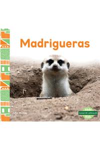 Madrigueras (Burrows)