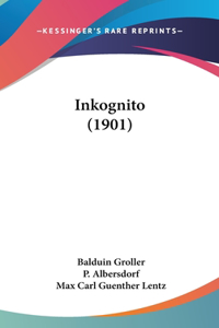 Inkognito (1901)