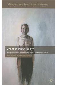 What Is Masculinity?