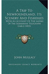 A Trip To Newfoundland, Its Scenery And Fisheries