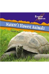 Nature's Slowest Animals