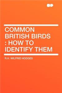 Common British Birds: How to Identify Them