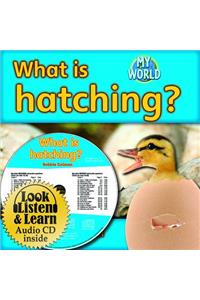 What Is Hatching? - CD + Hc Book - Package