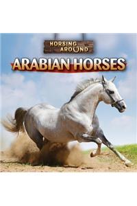 Arabian Horses