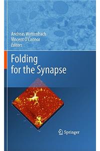 Folding for the Synapse