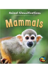 Animal Classifications Mammals