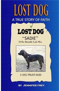 Lost Dog
