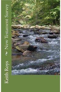 New Testament Survey