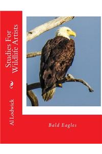 Bald Eagles