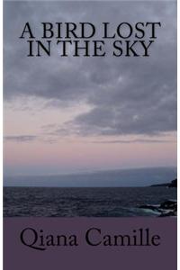 A Bird Lost in the Sky