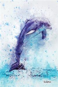 Dolphin
