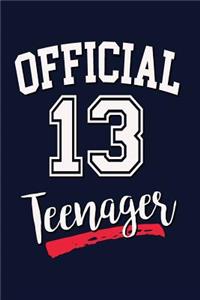 Official 13 Teenager