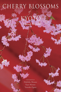 Cherry Blossoms Of Kyoto