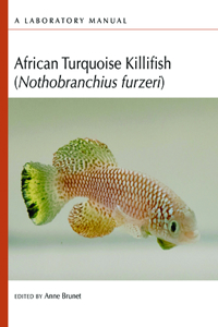 African Turquoise Killifish (Nothobranchius Furzeri)