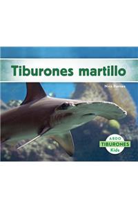 Tiburones Martillo (Hammerhead Sharks)