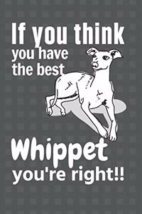 If you think you have the best Whippet you're right!!