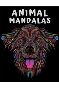 Animal Mandalas