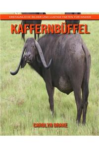 Kaffernbüffel