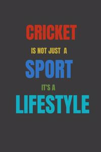 Cricket Is Not Just A Sport It's A Lifesytle