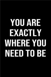 You Are Exactly Where You Need To Be: A softcover blank lined journal to jot down ideas, memories, goals, and anything else that comes to mind.