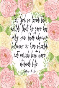 John 3