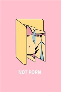 Not Porn