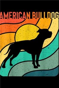 American Bulldog