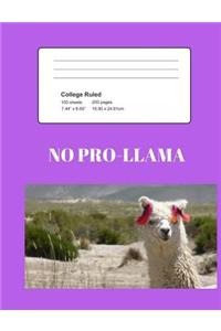 No Pro-Llama