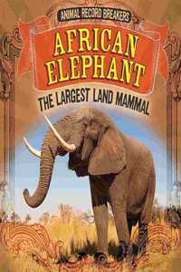 African Elephant: The Largest Land Mammal