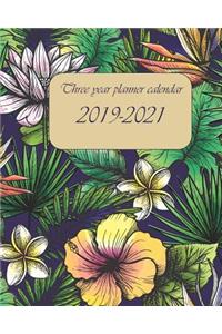 Three Year Planner Calendar 2019-2021
