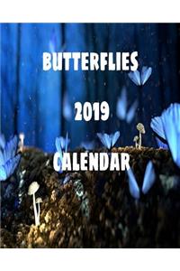 Butterflies 2019 Calendar